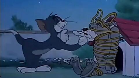 老鼠黑金視頻,探尋神秘生物的財富秘密